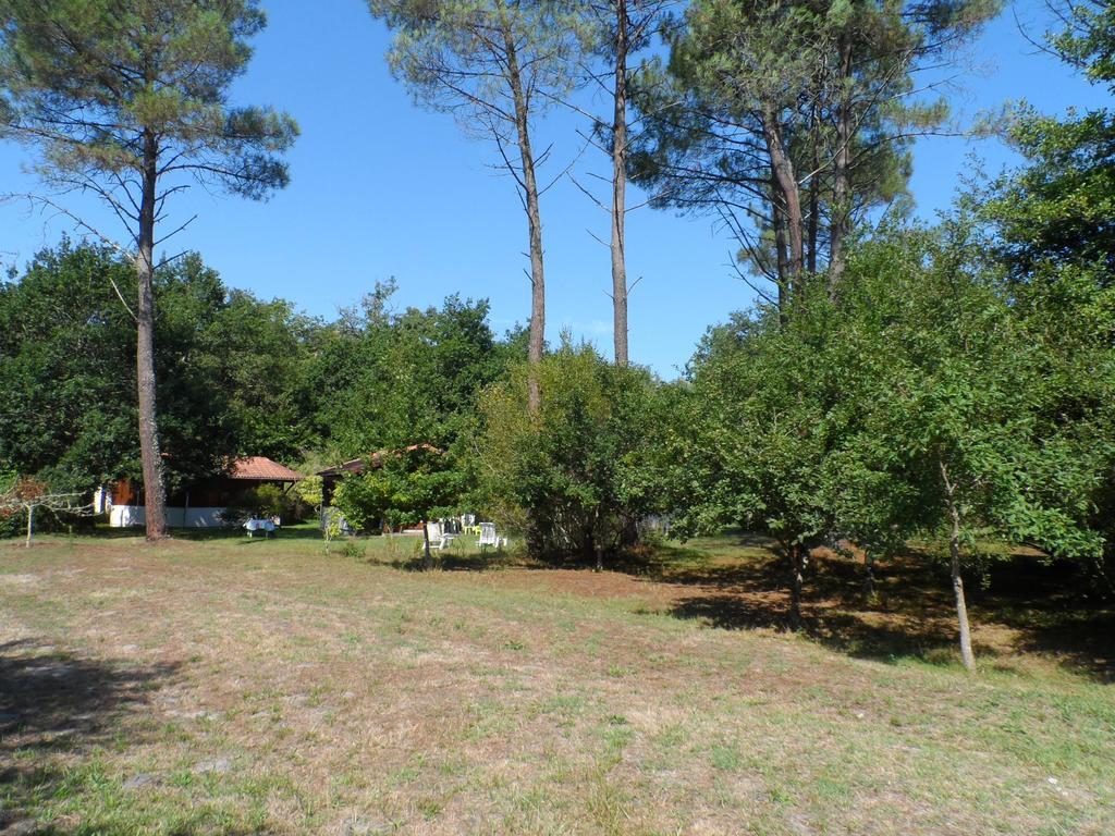 Les Chalets Du Gelat, Nature Et Calme Noaillan Bagian luar foto